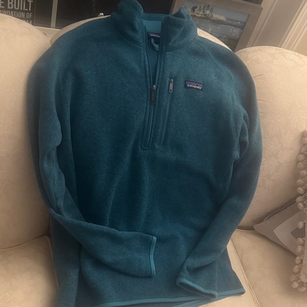 Patagonia Blue Quarter-Zip Fleece